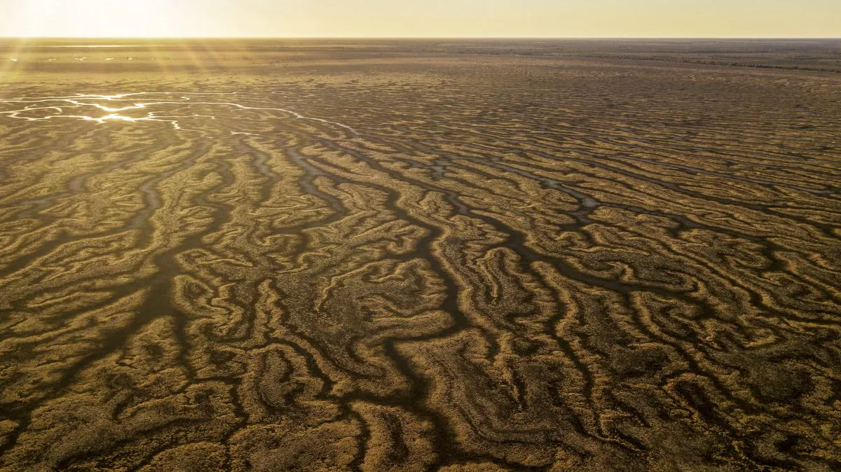 An aerial view of Lake Tandure Menindee, Australia on Aug. 15, 2019. (Mark Evans/Getty Images)