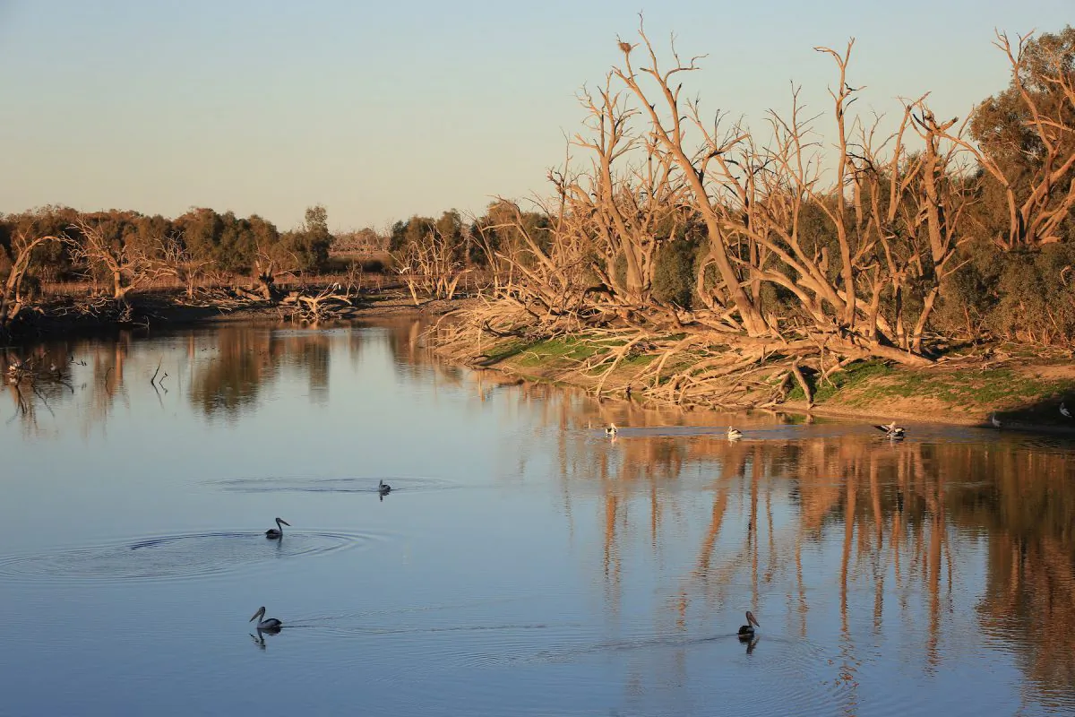 A small patch of water at Lake Wetherell in the Darling River area in Menindee, Australia on Aug.14, 2019. (Mark Evans/Getty Images)
