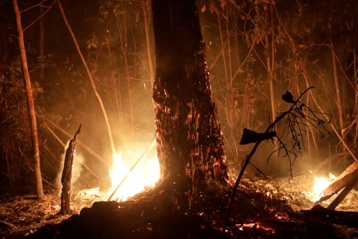 A tract of the Amazon jungle burns in Porto Velho, Brazil, on Aug. 24, 2019. (REUTERS/Ueslei Marcelino)﻿