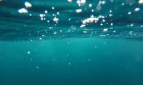 Undersea Cables Link Australia to Pacific