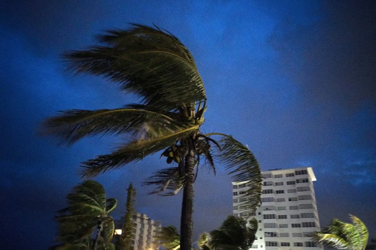 Strong winds move the palms of the palm trees at the first moment of the arrival of Hurricane Dorian in Freeport, Grand Bahama, Bahamas, on Sept. 1, 2019. (Ramon Espinosa/AP Photo)