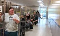 Florida Residents Foster 210 Animals at Shelter As Hurricane Dorian Approaches