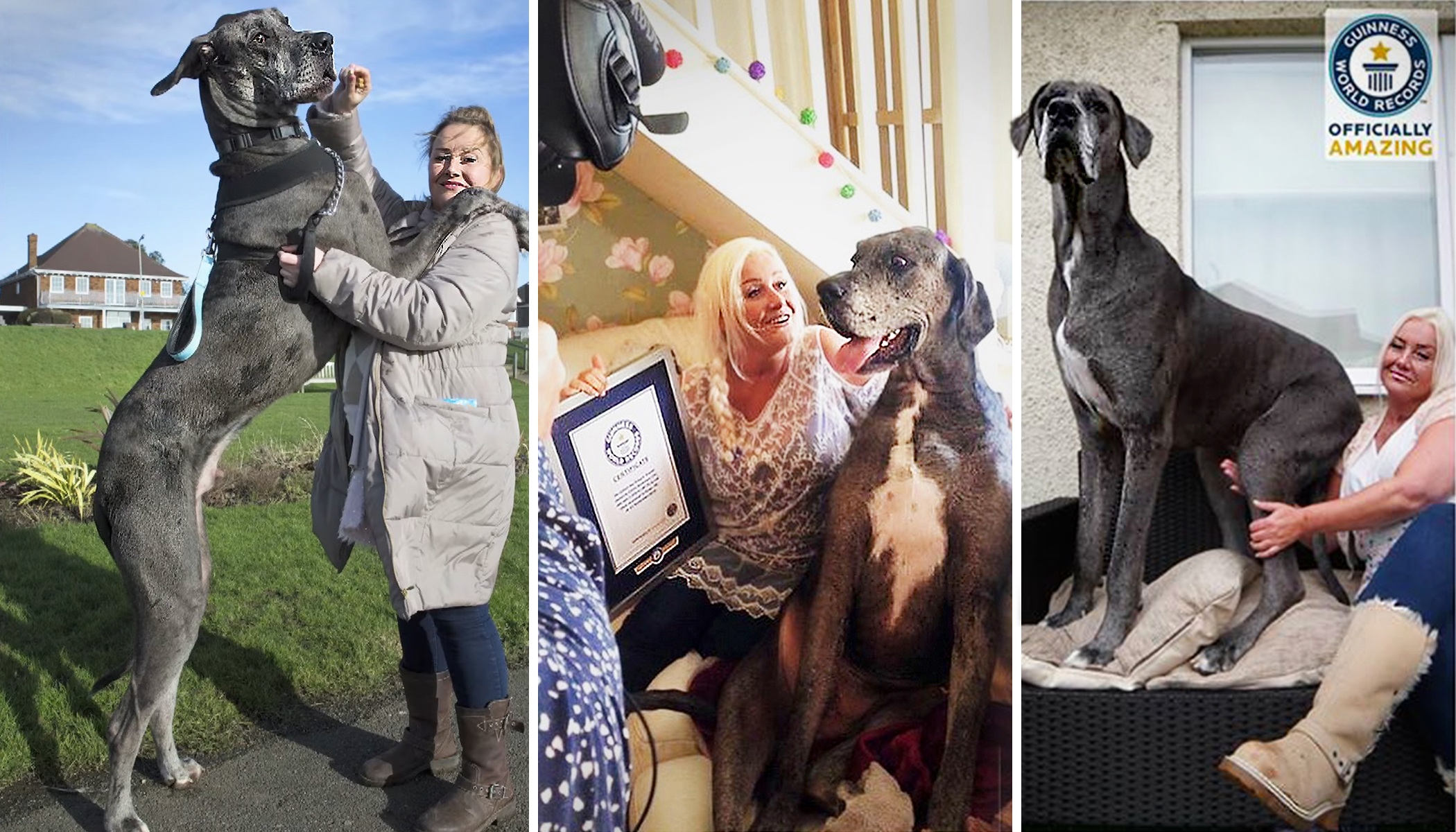 Flipboard Felicitations to Guinness record holder on Sept. 8