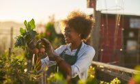 Doctors Prescribing Gardening Rather Than Drugs