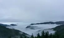 The Enchanted Forests of Taipingshan