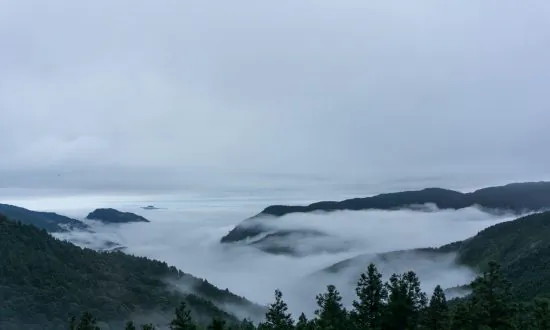 The Enchanted Forests of Taipingshan