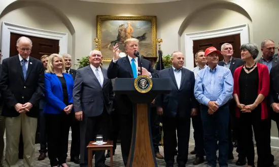 US Farm Profits Hit 5-Year High on China Trade War Payments