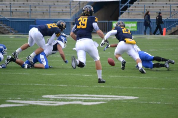 Wollet playing football