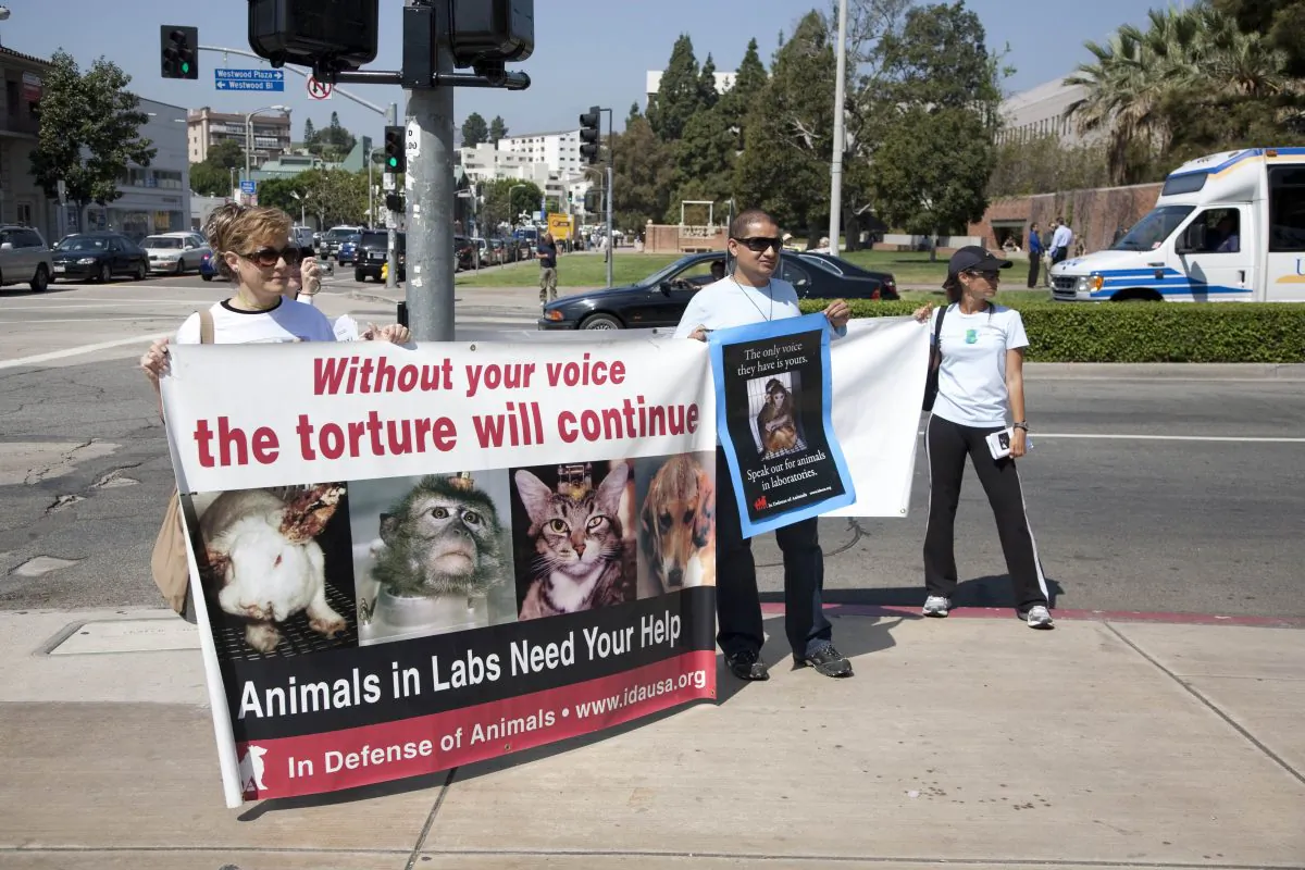 APRIL 22: Animal rights activists protest animal research at UCLA on Earth Day, April 22nd, 2009 in Los Angeles. (Jose Gil/Shutterstock)