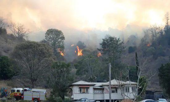 Queensland Neighbours ‘Courageous’ for Help in Fatal House Fire