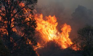 Strong Winds Fuel Bushfires Along Australia's Drought-Ridden East Coast