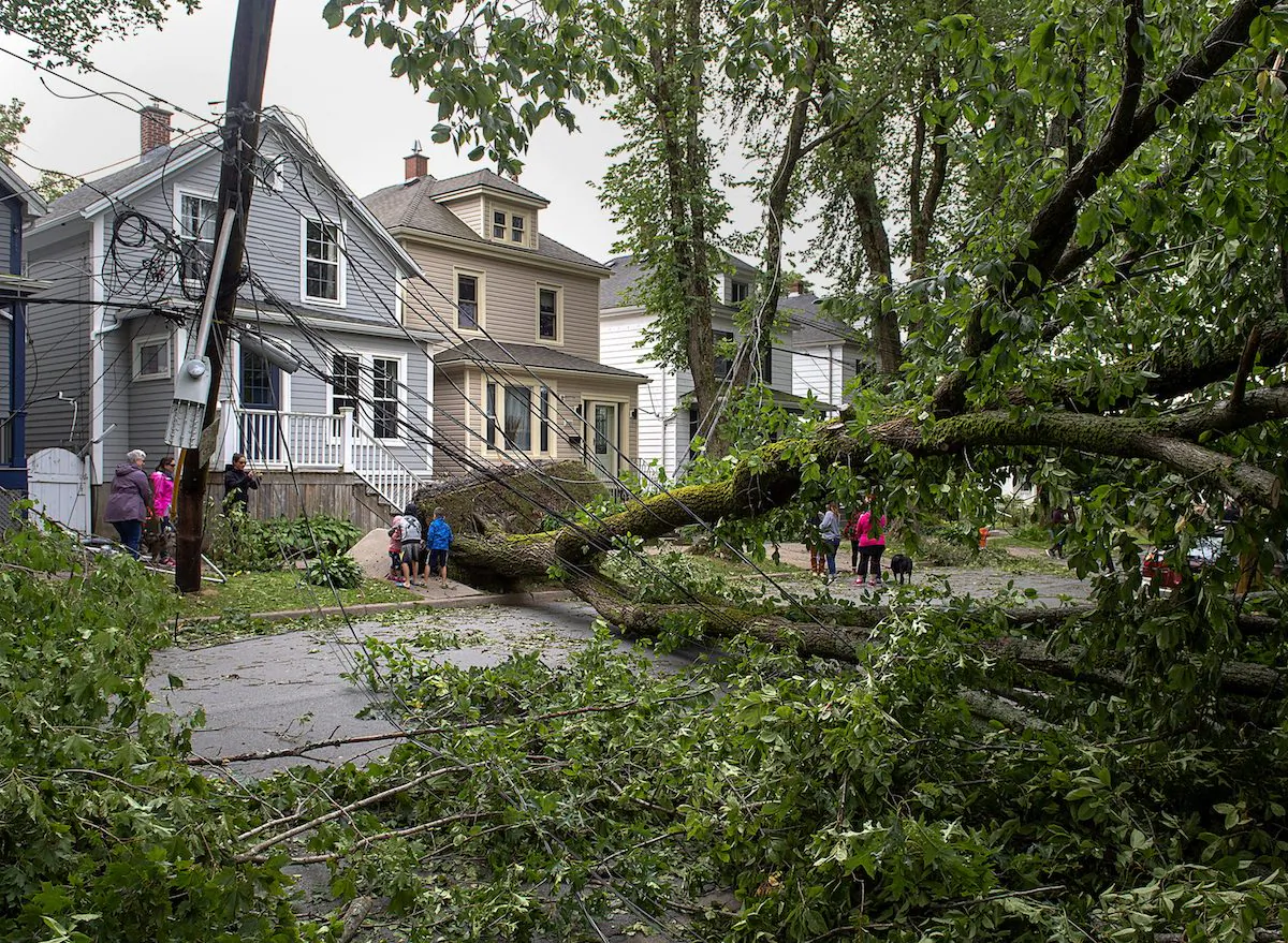 A street is blocked by fallen trees in Halifax on Sept. 8, 2019. (Andrew Vaughan/The Canadian Press via AP)
