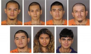ICE: 6 MS-13 Gang Members, Illegal Immigrants Involved in Fatal Stabbing