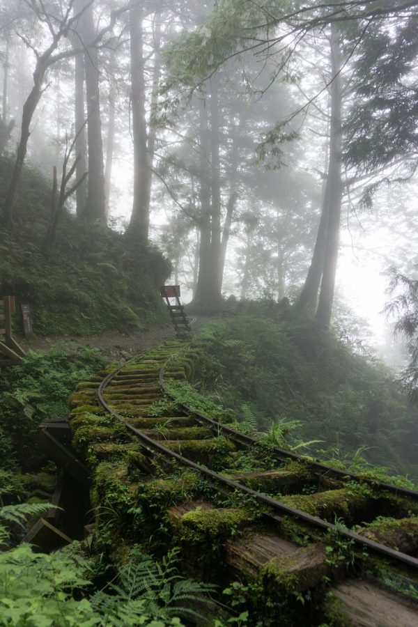 Abandoned train tracks
