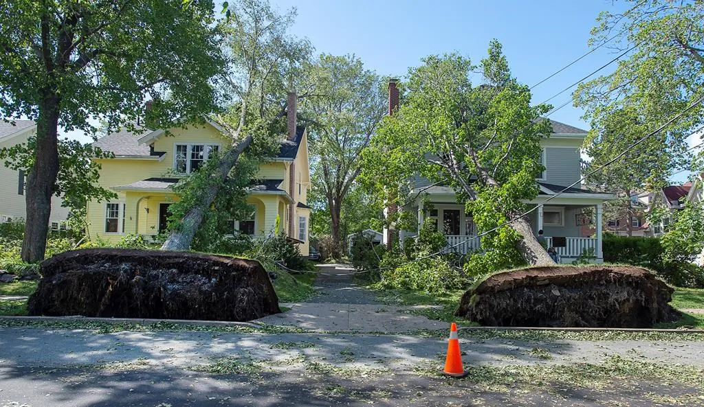Two fallen trees rest on neighbouring houses in Halifax on Sept. 8, 2019. Hurricane Dorian brought wind, rain, and heavy seas that knocked out power across the region, left damage to buildings and trees as well as disruption to transportation. (The Canadian Press/Andrew Vaughan)