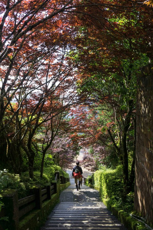 Epoch Times Photo