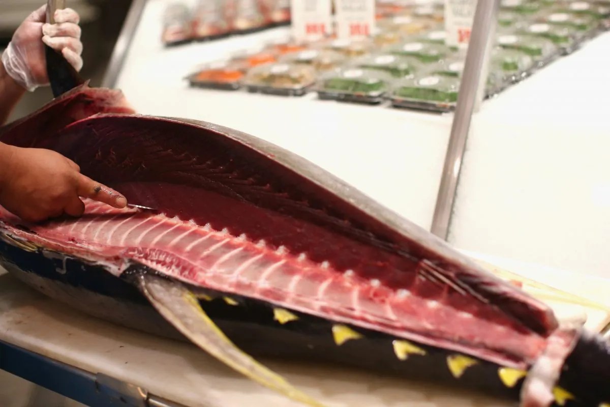 A yellowfin tuna is filleted in a file photograph. (Mark Kolbe/Getty Images)