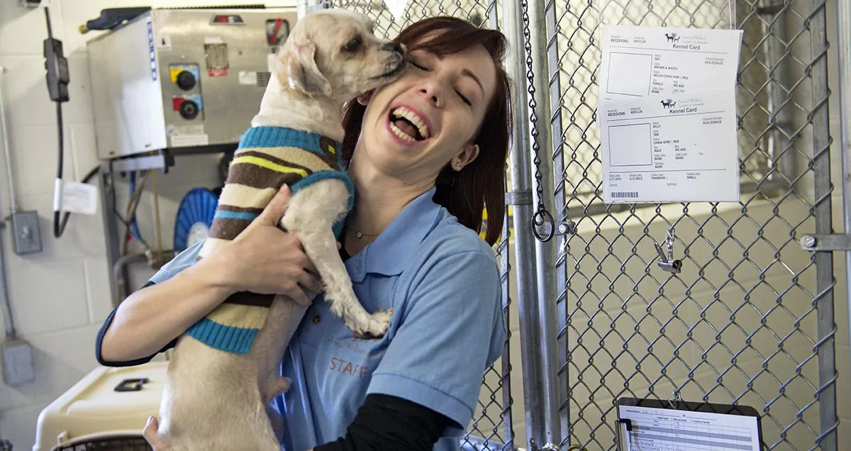Billy plays with Animal Welfare League of Alexandria Adoption Associate Chelsea Lindsey at a shelter in Alexandria, Va., on Jan. 9, 2015. (Jim Watson/AFP/Getty Images)