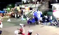 At Least 18 Injured After Elephants Stampede During Religious Festival