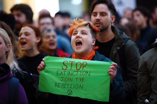 climate change protesters