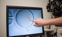 IVF Clinic Sued by White Couple Who Gave Birth to Asian Daughter
