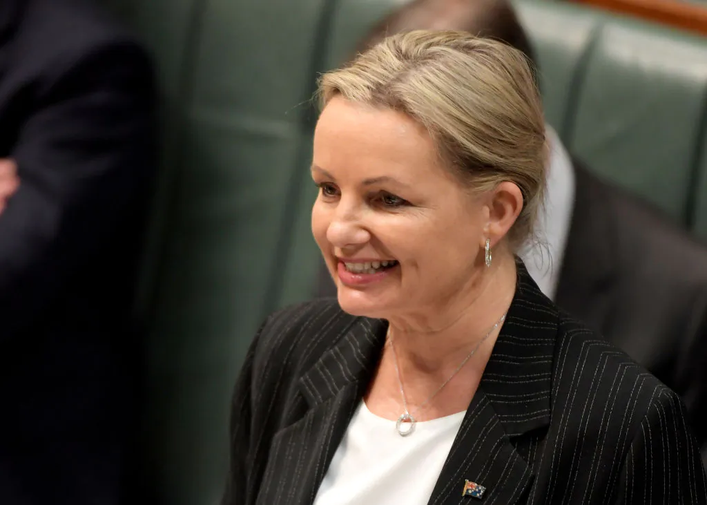 Environment Minister Sussan Ley speaks during question time in the House of Representatives at Parliament House in Canberra, Australia, on July 4, 2019. (Tracey Nearmy/Getty Images)