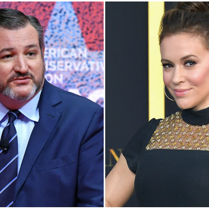 Alyssa Milano Says She Owns 2 Guns for Self Defense in Meeting