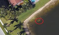 Remains of Florida Man Missing for 20 Years Reportedly Found on Google Earth