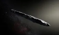 Pentagon UFO Chief Intrigued by Possible Alien ‘Dandelion Seeds’ in Our Solar System