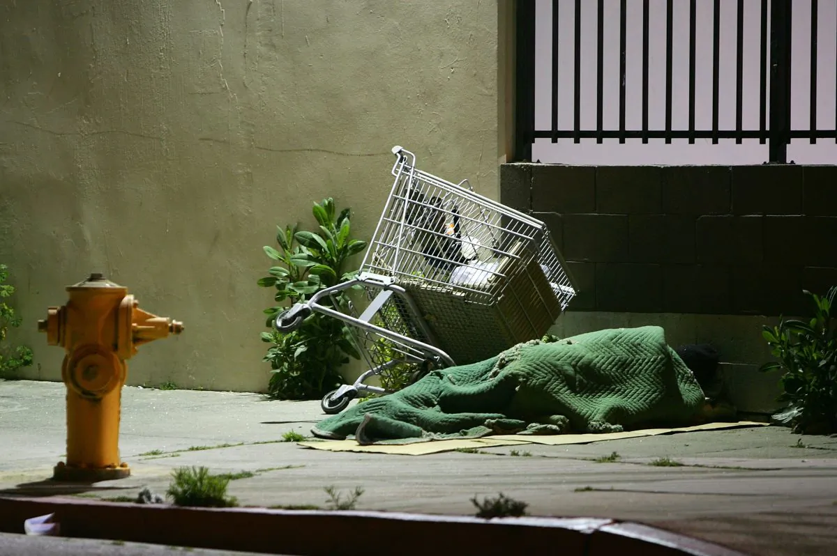 In this file image a homeless person sleeps by his shopping cart on a downtown sidewalk in the early morning hours of April 19, 2006 in Los Angeles, California. (David McNew/Getty Images)