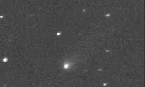 Newfound Comet Likely an ‘Interstellar Visitor,’ Scientists Say
