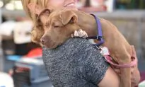 Sick Shelter Dog Was About to Be Euthanized–Now He Just Wants to Thank His New Human Mom