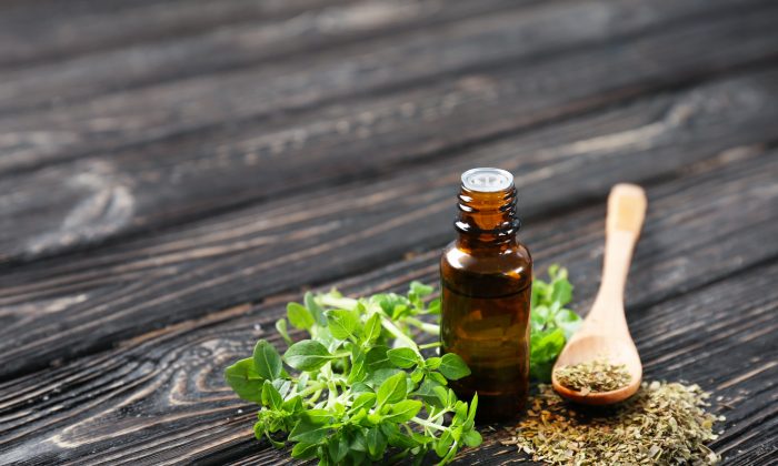 During preclinical trials, researchers found oil of oregano had anticancer properties and other disease-fighting abilities. (Africa Studio/Shutterstock)