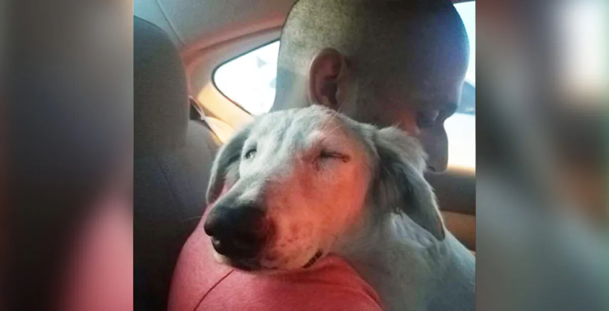 Anand Raman with the stray dog he had rescued off the streets of Dubai. (Photo courtesy of Anand Raman)