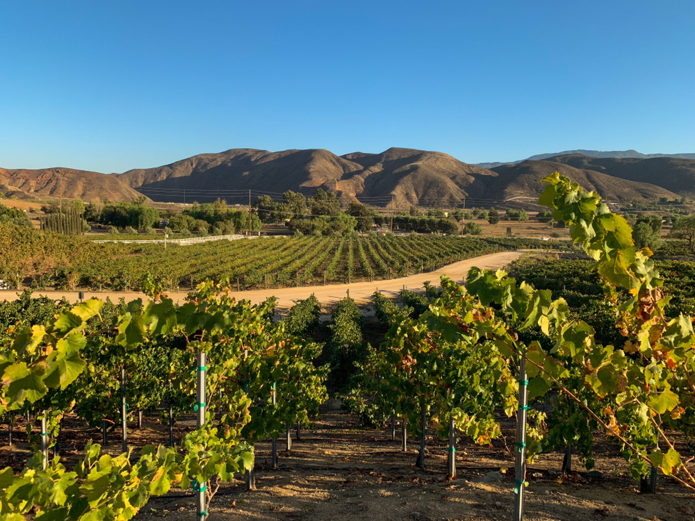 Temecula The Other California Wine Country