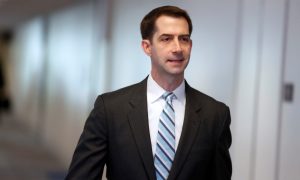 Americans Might 'Have to Take Matters Into Our Own Hands' After Cartels Kill 9 US Citizens: Senator