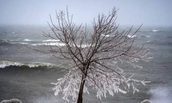 Average Fall, Cold Winter Ahead, Weather Network Predicts