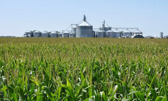 Congressional Hearing Highlights Economic Danger From Mexico’s Exclusion of US Corn