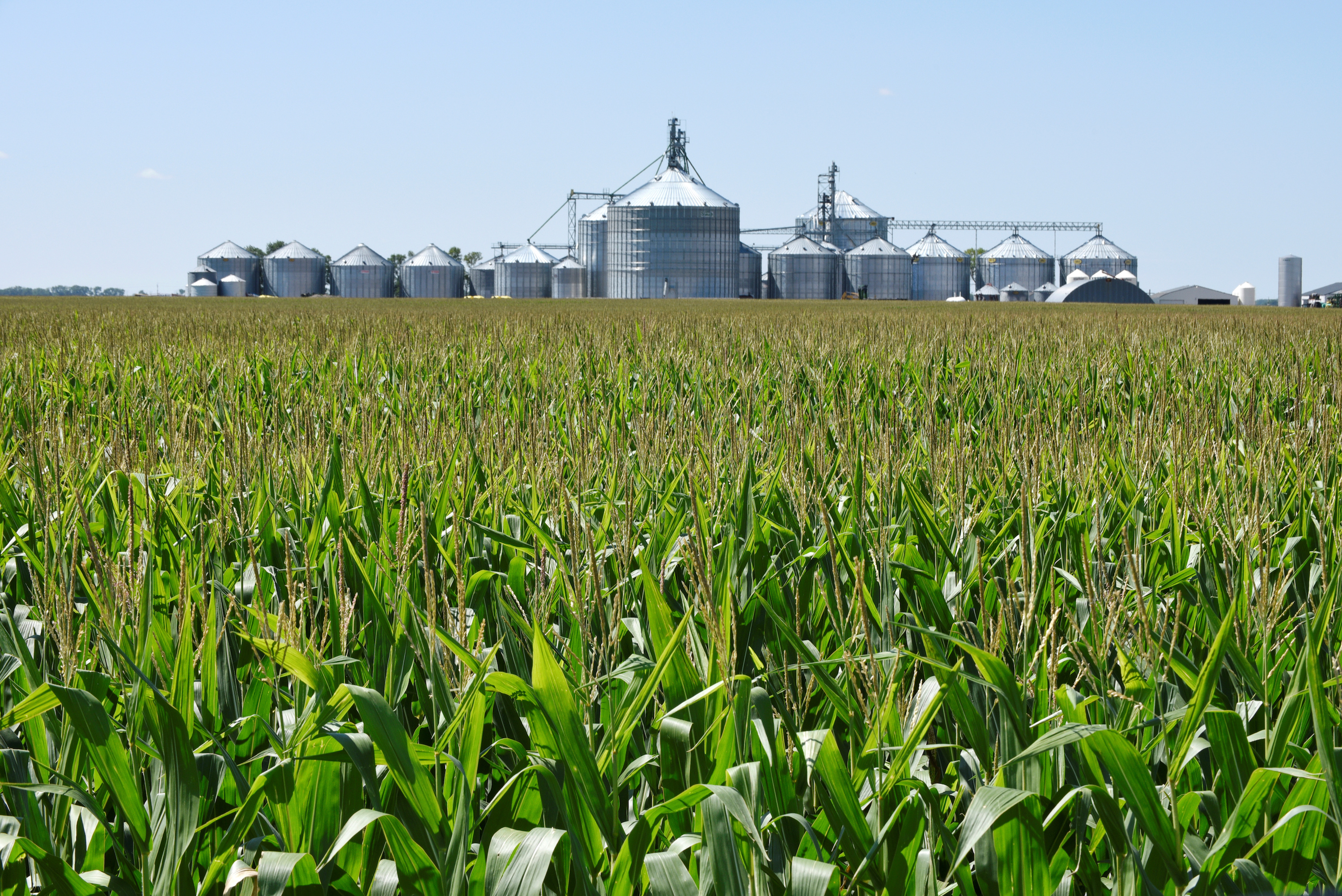 Farmer Mac Hikes Quarterly Dividend 7% Amid Earnings Growth