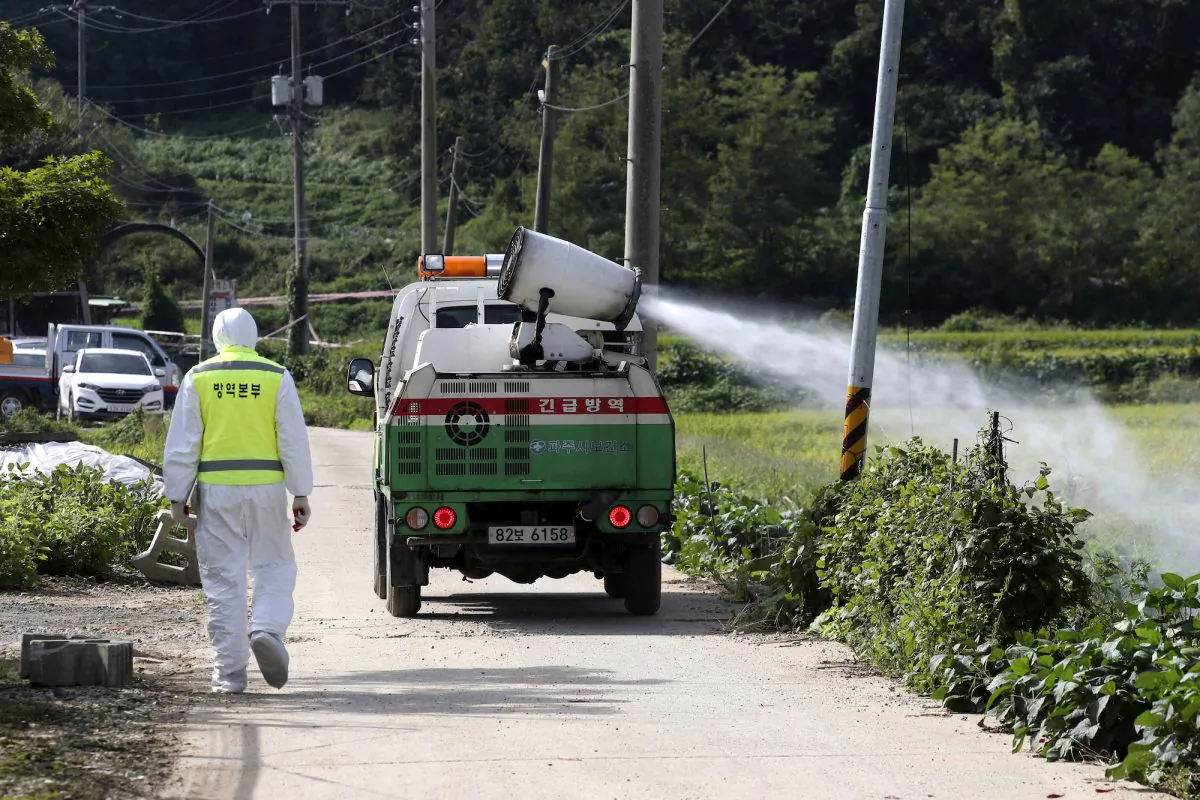 A vehicle sprays disinfectant solution as a precaution against African swine fever at a pig farm in Paju, South Korea on Sept. 17, 2019. (Lim Byung-shick/Yonhap via AP)