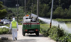 South Korea Reports More Suspected Swine Fever Cases