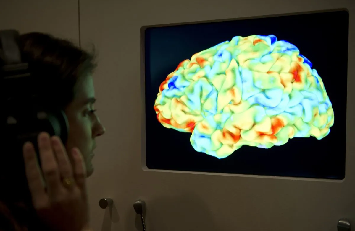 A woman looks at a functional magnetic resonance image (fMRI) showing the effect of Stravinsky's Rite of Spring and Kant's 3rd Critique on the human brain during the Wellcome Collection's major new exhibition "Brains: mind of matter" in London on March 27, 2012. (MIGUEL MEDINA/AFP/Getty Images)
