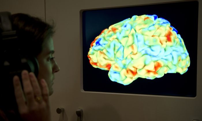 A woman looks at a functional magnetic resonance image (fMRI) showing the effect of Stravinsky's Rite of Spring and Kant's 3rd Critique on the human brain during the Wellcome Collection's major new exhibition "Brains: mind of matter" in London on March 27, 2012. (MIGUEL MEDINA/AFP/Getty Images)