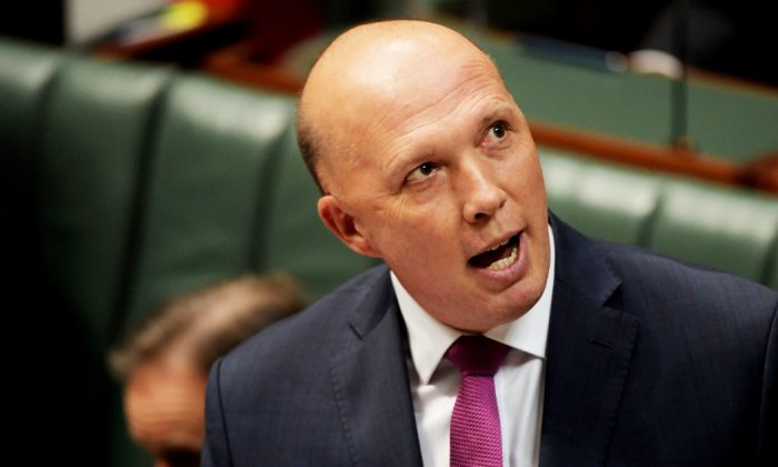 Australia's Foreign Affairs Minister Peter Dutton during Question Time in the House of at Parliament House in Canberra, Australia, on Sept. 11, 2019. (Tracey Nearmy/Getty Images)