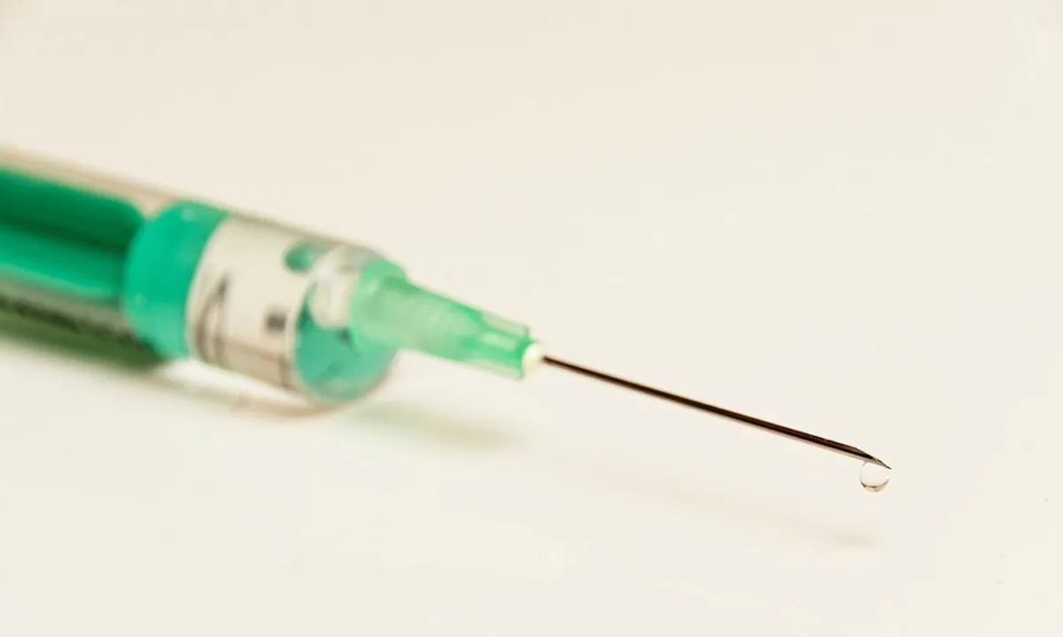 Stock image of a syringe. (Bru-nO/Pixabay)