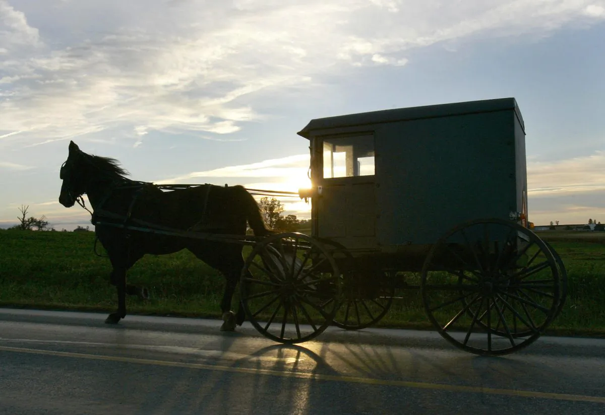 An Amish buggy makes its way down the road in the town of Nickel Mines, Pa., in a file photo. (Timothy A. Clary/AFP/Getty Images)