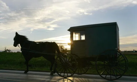 ‘Horrible Tragedy:’ 3 Children Dead, One Injured in Horse-Drawn Buggy Crash in Michigan