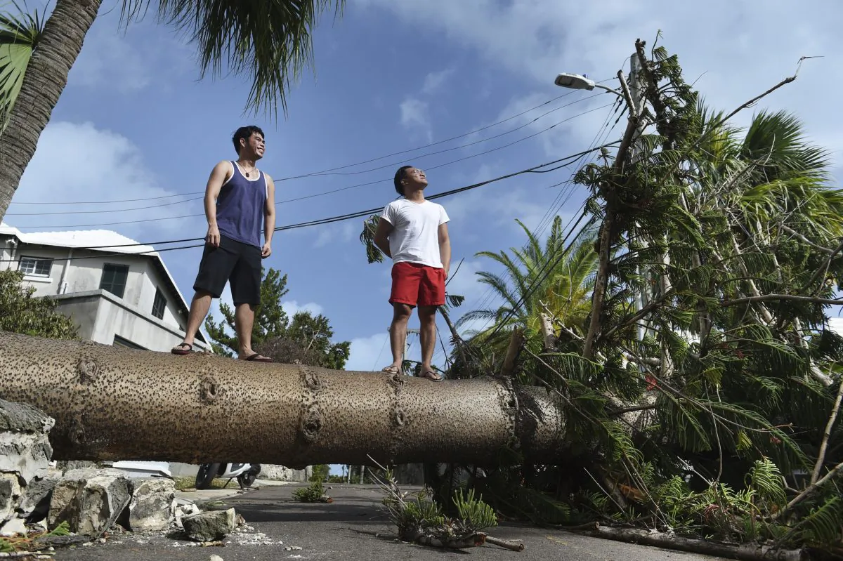 Men stand on a tree felled by Hurricane Humberto, on Pitts Bay Road in Hamilton, Bermuda, on Sept. 19, 2019.  (Akil J. Simmons/AP)