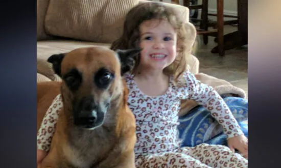 Owner Accuses United Airlines of Dog’s Death, Lawyer: Dogs Are Family Members
