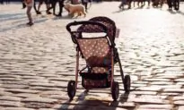 Woman Arrested With $6,000 Worth of Stolen Quarters in Baby Stroller: Police